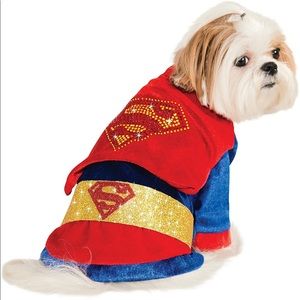 Superman DC Heroes & Villains Costume
